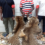 Man : Un présumé trafiquant d’animaux interpellé avec 2 peaux de panthères déféré à Abidjan